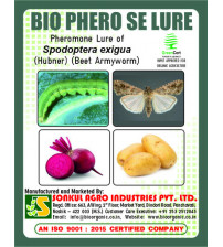 Combo Pack of Bio Phero SE (Beet Armyworm) Lure & Funnel trap set (Pack of 10 Pieces)